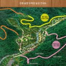 솔향수목원(전시온실) 이미지