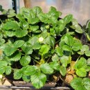 금촌농약사 이미지