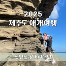 서귀포농업협동조합서부지점 | [제주] 5살 아기랑 제주도 애개여행:: 제주 산방산 용머리 해안 | 바다와 절벽이 조화로운 한국의...