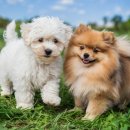 룩스토어 이미지