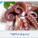 아싸농수산