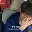 틴트프로