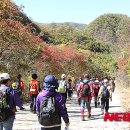 오색스포츠