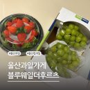블루웨일더후르츠울산
