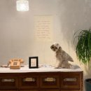 스펀지게임랜드 이미지