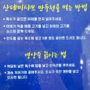 산데미 수제만두 이미지