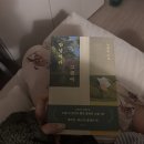 2512 | 안녕이라 그랬어, 김애란 (책리뷰, 독서모임 후기, 발제문) 2512