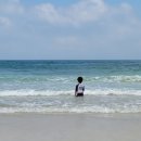 제주소호네 이미지