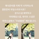 후기] 하얀스냅 | Hayan sanp | 본식스냅, 서브스냅, DVD촬영 계약 후기 | 메리빌리아 더 프레스티지...