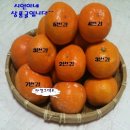 ★10kg 14,000원~15kg는 더 할인!! 밭에서 딴것 그대로...서귀포 효돈 시언이네귤...당도짱!!★ 이미지