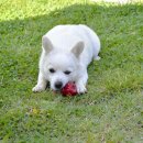 리:피움미술관 이미지