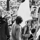 The Father 이미지