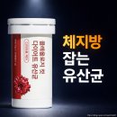 7601 | 콜레올로지 컷 다이어트 유산균 2주 후기: 아침 식전 2캡슐 루틴 정리