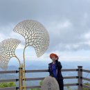 조주기능사(토) 이미지