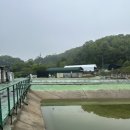 새미 낚시터 | [경기 시흥] 새미낚시터 후기