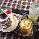 NR-2[무영로]-하-2 | 방어먹으러 모슬포가서 자고오는 제주도민