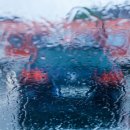 자연의 순환 이미지