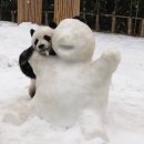 동일여자고등학교 이미지