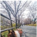 코코유치원 이미지