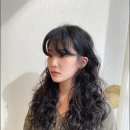 헤어235
