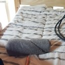 함비자 게스트하우스 | [제주] 함비자 게스트하우스 숙박 후기♥