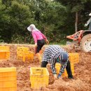 석문농장 이미지