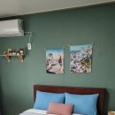 밀크플리즈 | 양양 - 거북이 밀크바, 플리즈웨잇, 휴휴암, 낙산 스테이