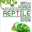 렙타일코리아 이미지