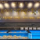 준돌이네