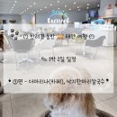낙지한마리 | [반려동물 이야기] 반려견 동반 1박 2일 태안 여행 ③편 - 더마리나(카페)/낙지한마리칼국수
