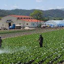 대가주천 이미지