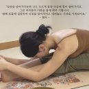 젬마동물병원 이미지