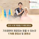 도그마루 강아지 고양이 부산점 이미지
