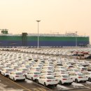 동북아종합자동차 이미지