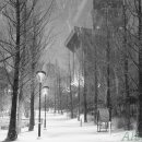 화강문화센터 공연장 이미지