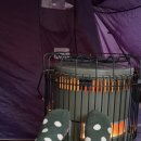 무심골 캠핑장 이미지