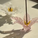 오브제-꽃과빛 이미지