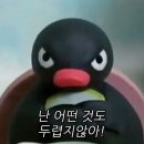 안덕생활체육관 주경기장 | 한 학기 마무리, 그리고 새학기 준비