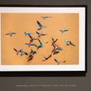 JCC아트센터 이미지