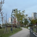 운동장주유소 | 마곡 어울림공원 반려견쉼터 방문후기 . 주차 꿀팁 . 서울식물원 가는 길