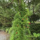 어린왕자펜션 | 단양펜션 이번에 다녀온 어린왕자펜션 후기