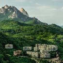 파라스파라 서울 이미지