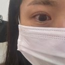 채우림광명