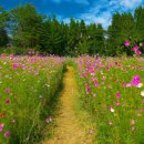 빛 살 -울림 이미지