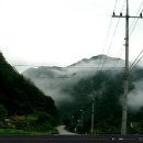 별꽃둥지민박 이미지