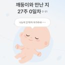 맘스터치 대저점 | 고양이 사진에 일상 추가