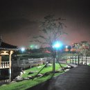 수변공원 Daum카페