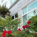 무안비치호텔 이미지