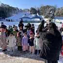 올림픽태권도&줄넘기 이미지