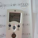 어린이 바이올린 주말 이미지